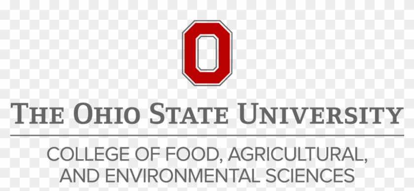 Strategic Planning/strategic Foresight - Ohio State College Of Food Agricultural And Environmental #538269
