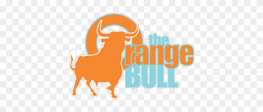 The Orange Bull Bar - Bullbar #538451