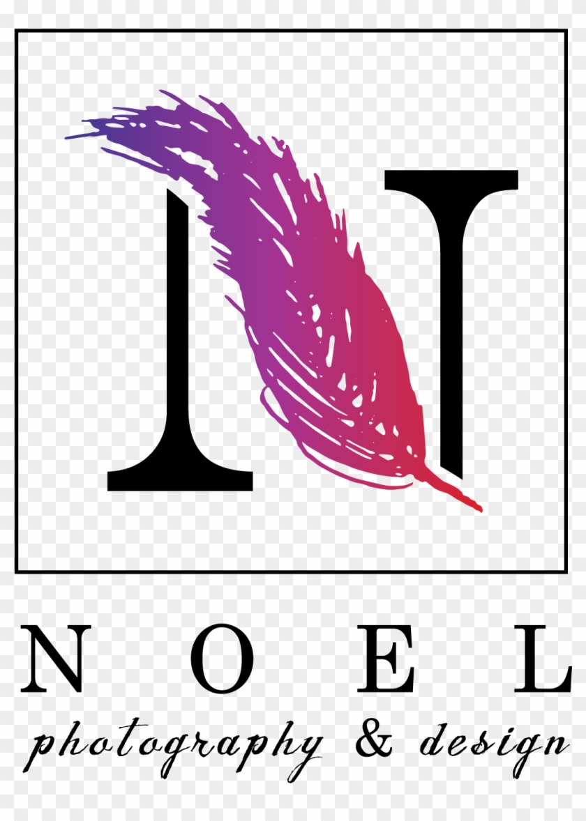 Noel Photography And Design - Birds With Banner #538742