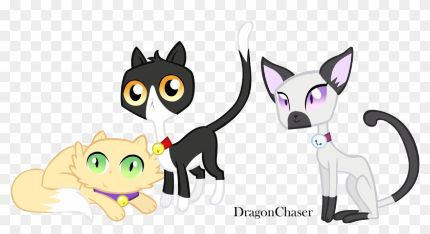 Dragonchaser123, Bell, Bell Collar, Cat, Collar, Pinkie - Cat #539109