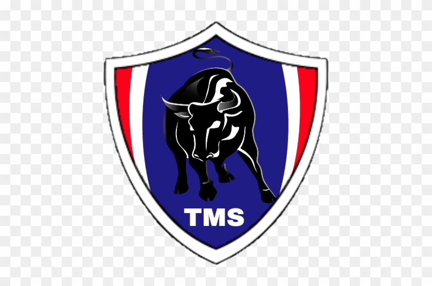 Dream League Soccer Logo Tms United - Logo For Dream League #539288