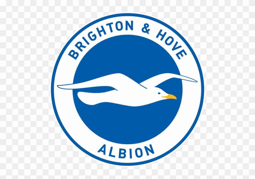 Brighton & Hove Albion F - Brighton And Hove Albion Logo Png #539299