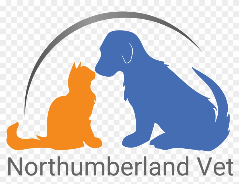 Northumberland Veterinary Services Northumberland Veterinary - Northumberland Veterinary Services #539398