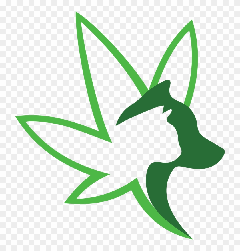 Veterinary Cannabis Counselor - Veterinary Cannabis Counselor #539531