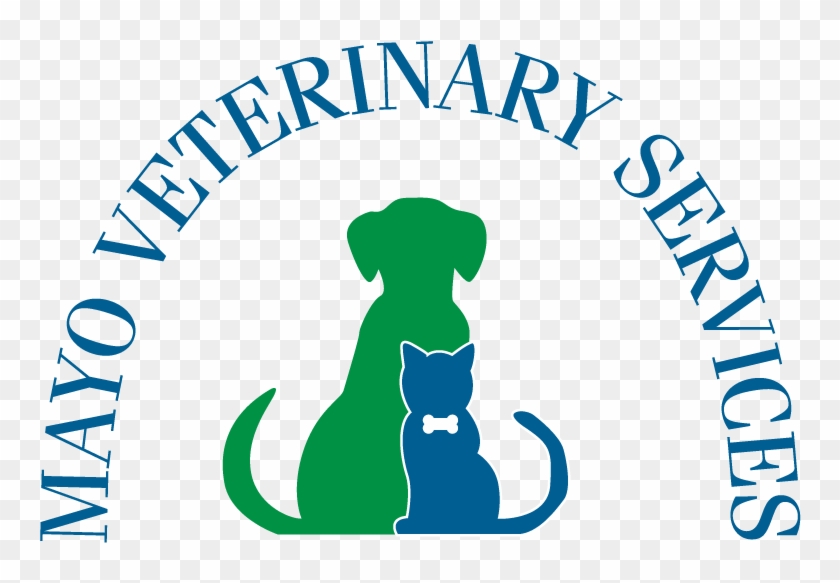 Mayo Veterinary Services - Our Lady Of Peace Darien #539568