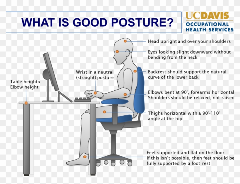 Correct Sitting Posture For Computer - Uc Davis Medical Center #539619