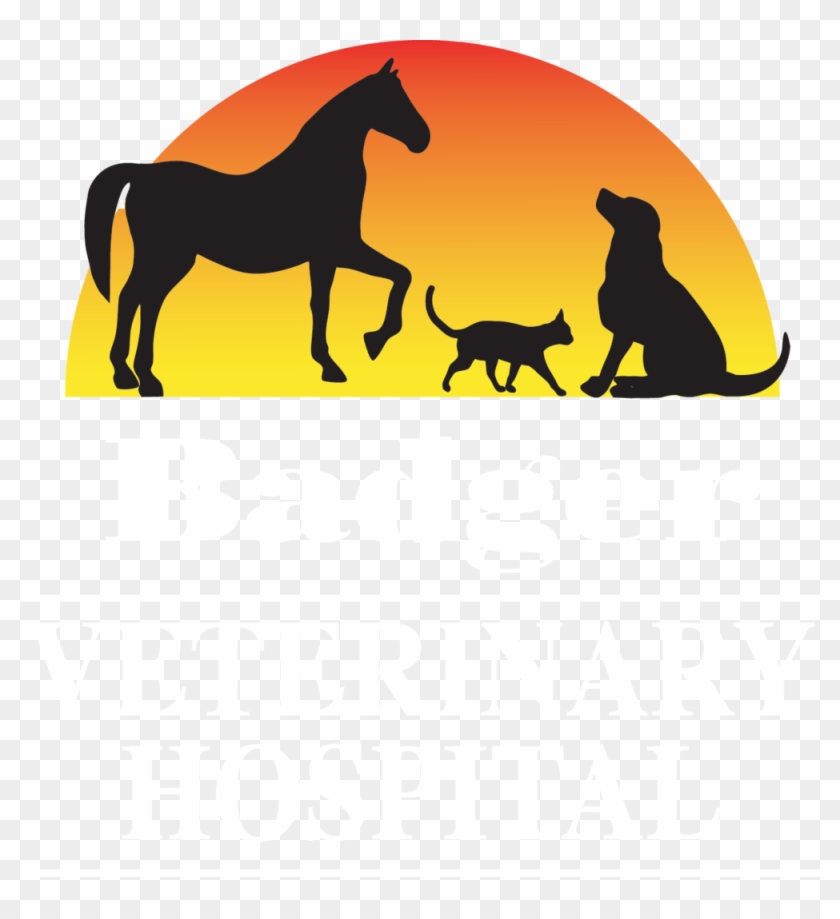 Bv Transparent Hi Res - Badger Veterinary Hospital-janesville #539657
