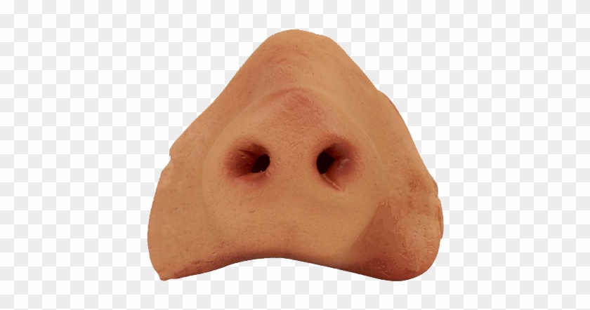 Baby Pig Png - Pig Nose #539659