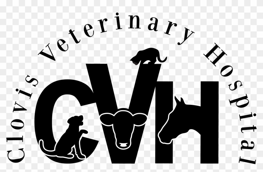 Clovis Veterinary Hospital #539684
