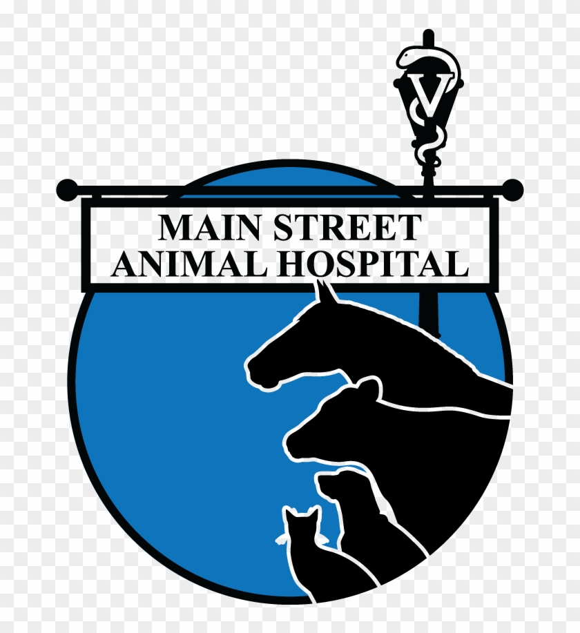 Main Street Animal Hospital #539692