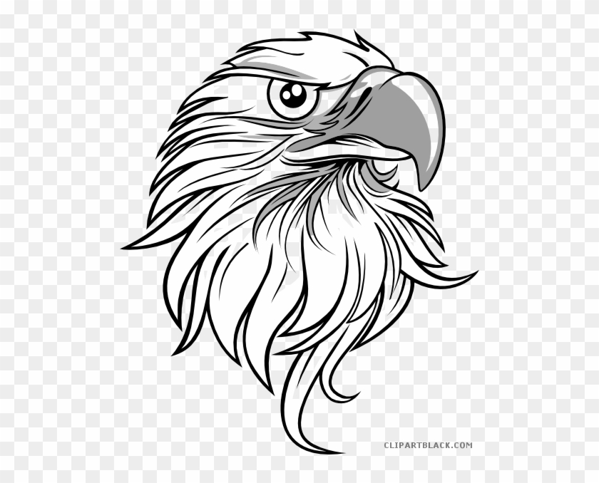 Eagle Head Animal Free Black White Clipart Images Clipartblack - Eagle Drawing #539727