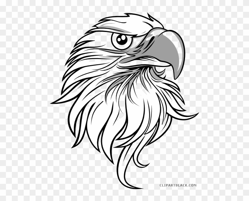 eagle head sketch