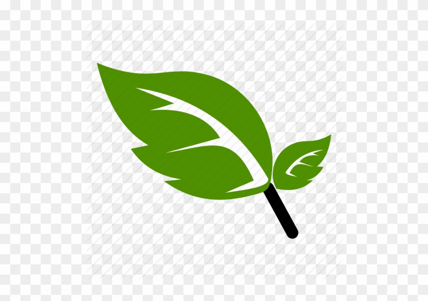 Flower, Green, Leaf, Natural, Nature Icon - Green Leaf Icon Png #539880