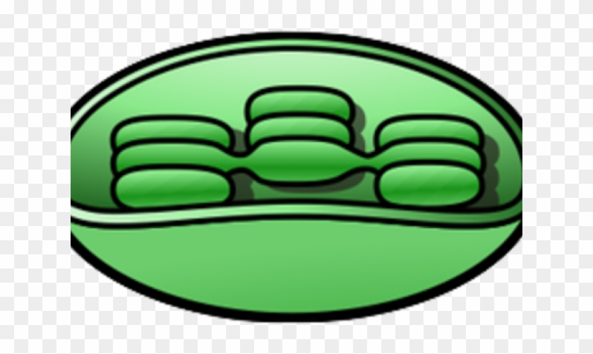 Chloroplast Cliparts - Chloroplast Clip Art #540298