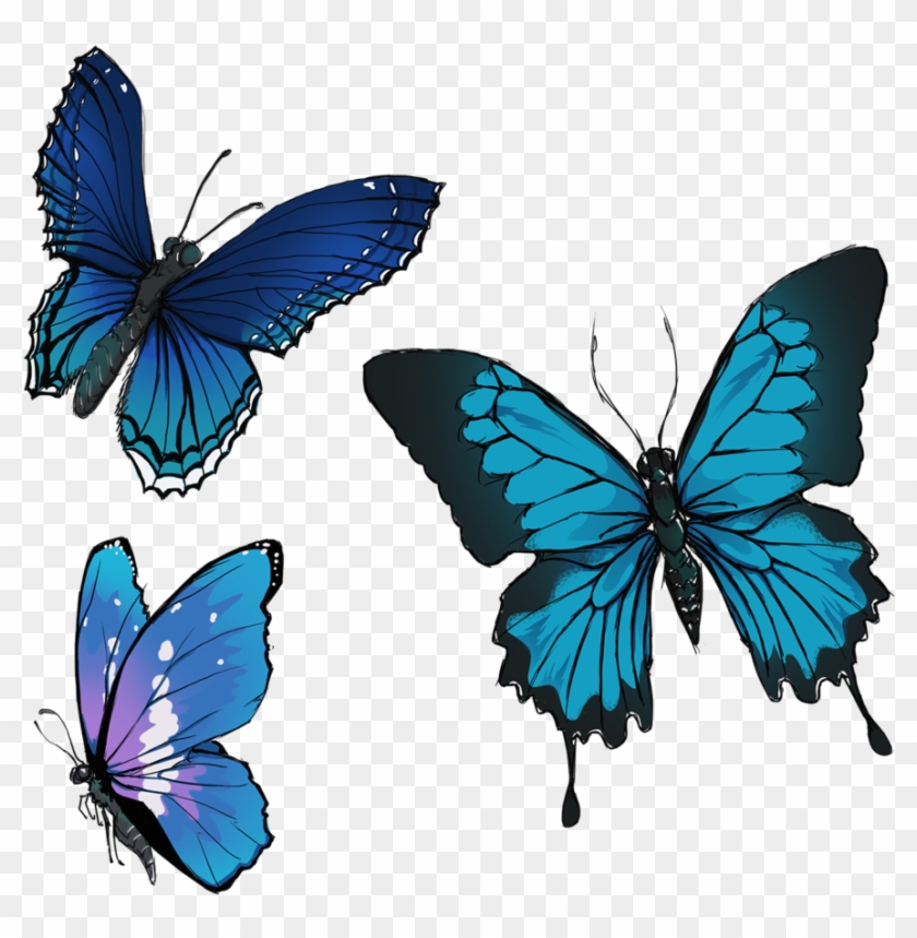 Comm - Group Of Butterflies Png #540689