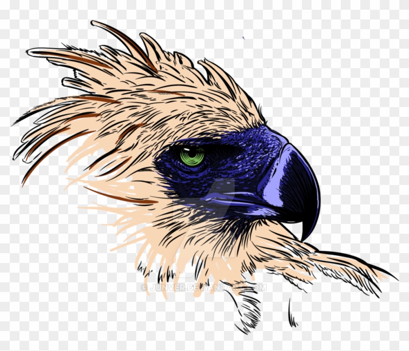 Phillipine Eagle Clipart Philippine Eagle Drawing - Philippine Eagle Free Vector #540695