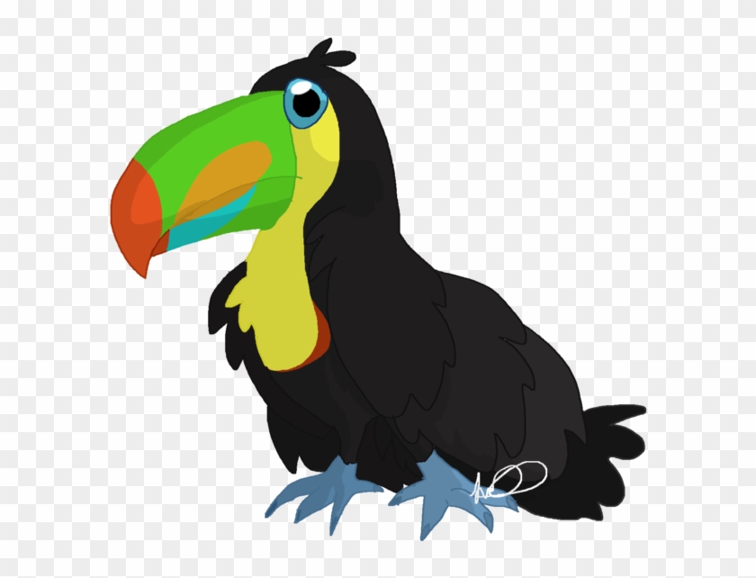Draw Birds Toucan Parrot Drawing - Draw Birds Toucan Parrot Drawing #540704
