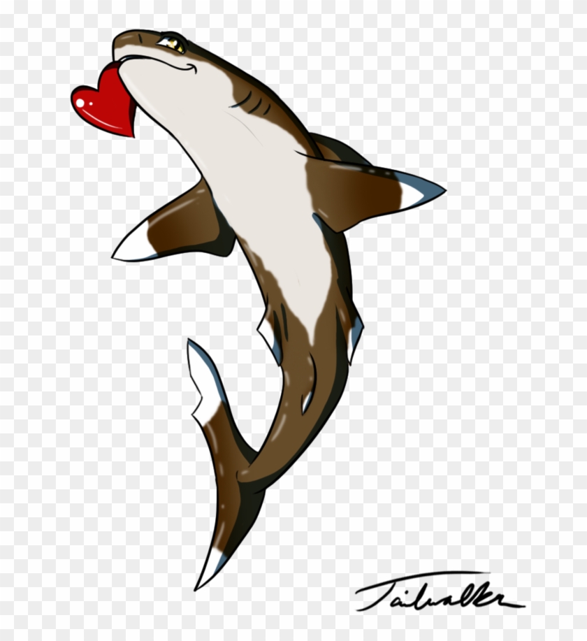 White Tip Shark Drawing - Oceanic White Tip Shark Drawing #540730