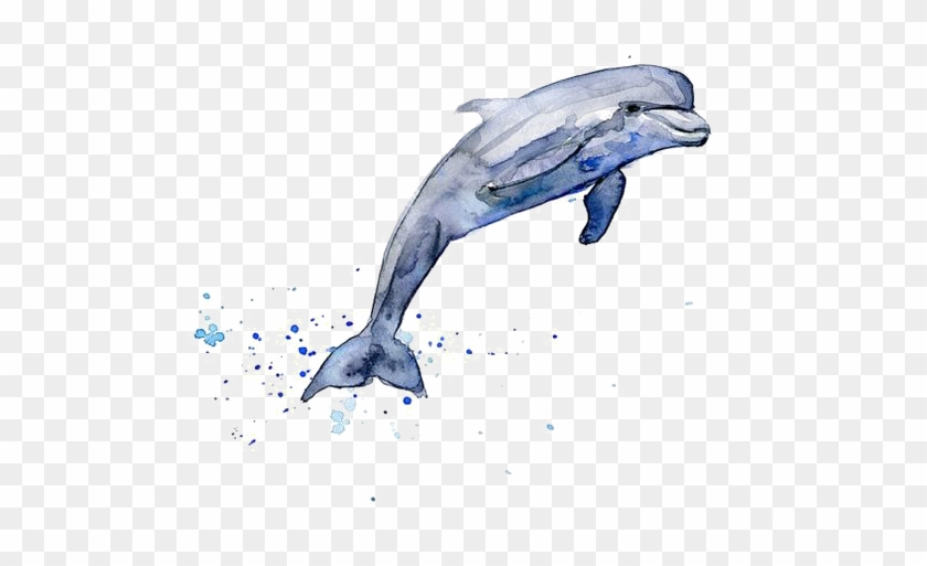 Drawing Dolphin Watercolor Painting Clip Art - Drawing Dolphin Watercolor Painting Clip Art #540746