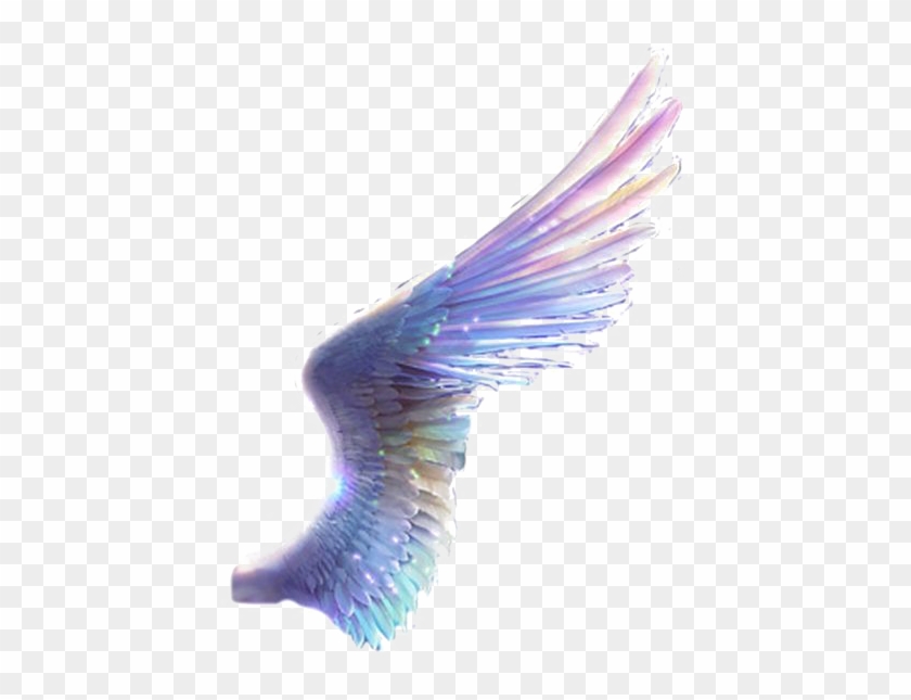 Paper Drawing - Colored Wings - Paper Drawing - Colored Wings #540789