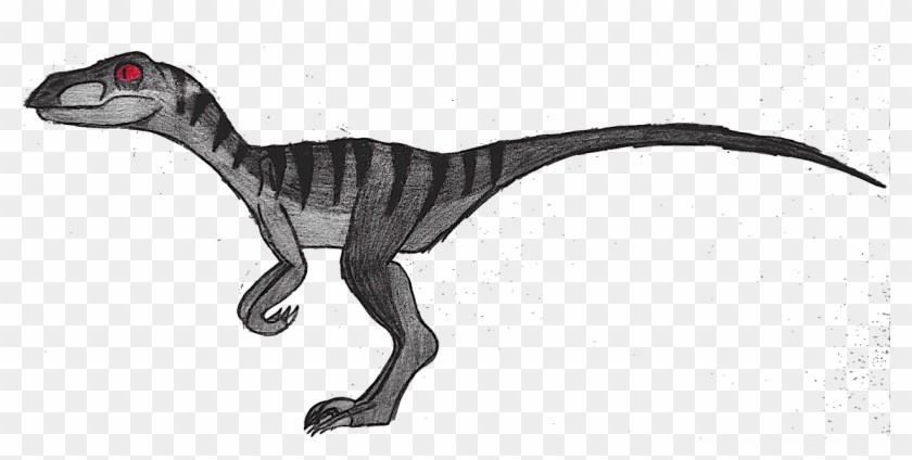 Vinny The Velociraptor Drawing By Shadowstyle143 - Drawing Of A Velociraptor #540799