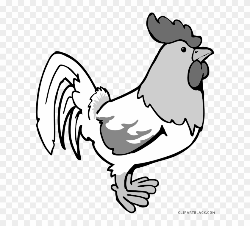 Cartoon Rooster Animal Free Black White Clipart Images - Chicken Coloring Pages #540889