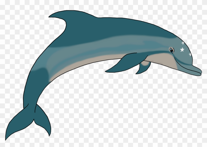 I Tried To Draw Dotf Ecco - Common Bottlenose Dolphin #540894