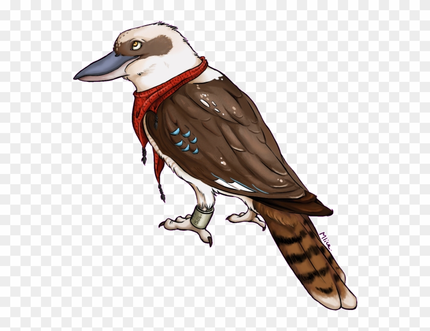 The Kookaburra First Try With Drawing Tablet By X-mlice - Drawing #540897