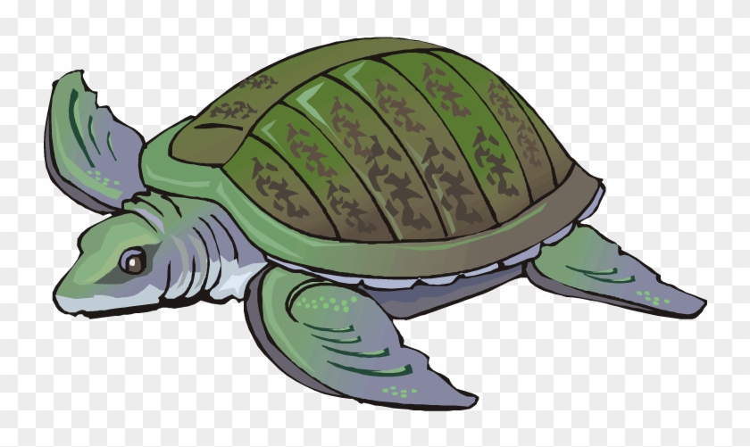 Swimming Turtle - Water Turtle Clipart #541048