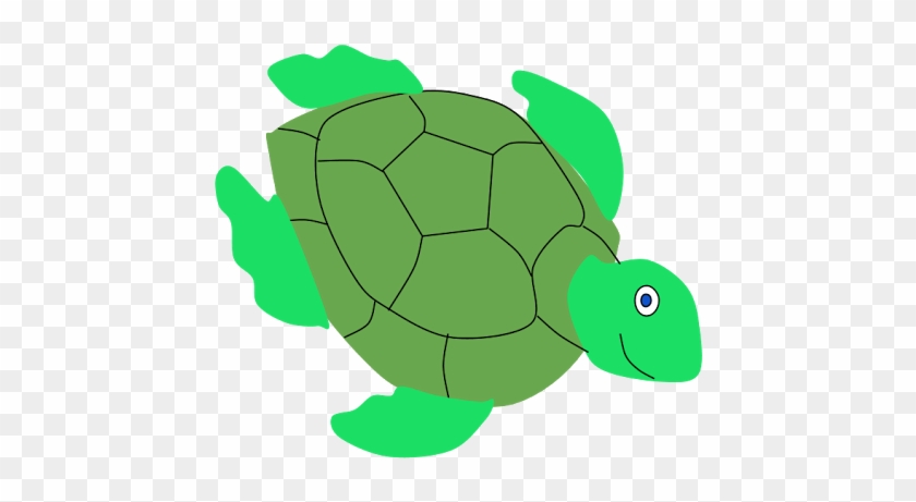Tortoise #541085
