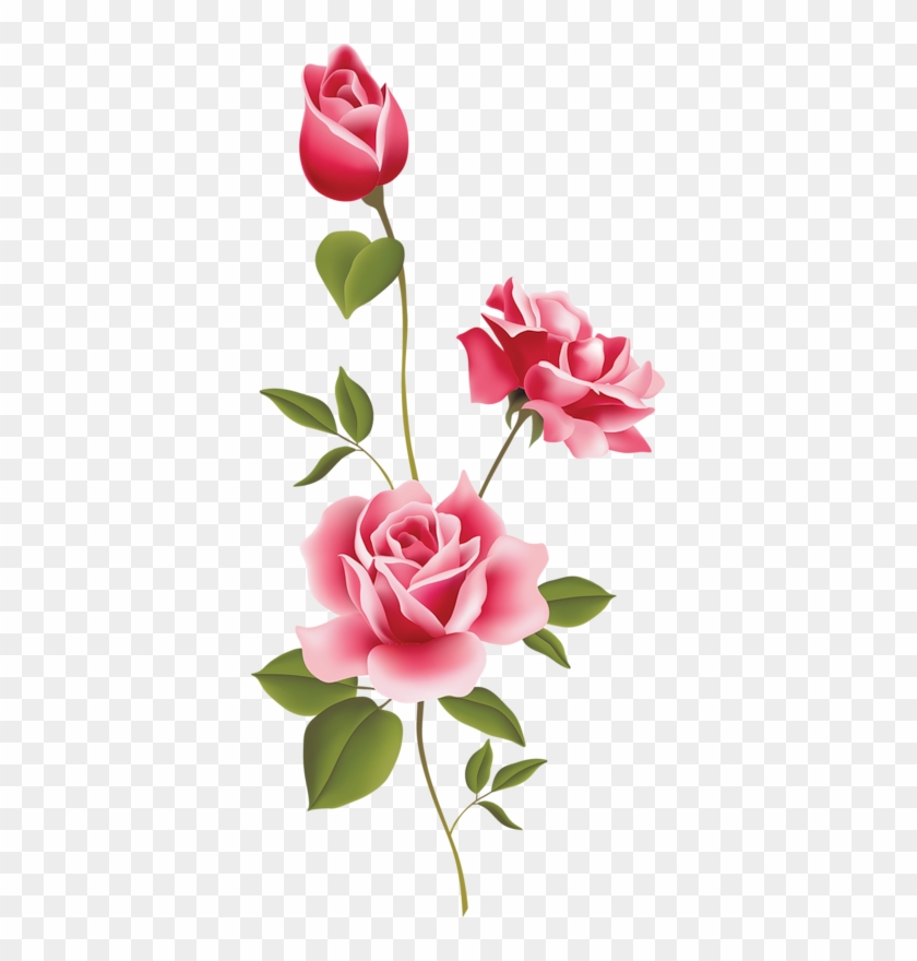 Pink Rose Clipart - Rose Vector #541147