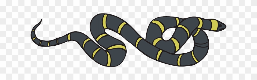 Slithering Snake, Black, Yellow, Striped, Reptile, - Snakes #541207