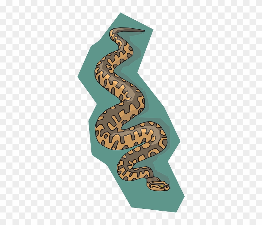 With Snake, Brown, Background, Reptile, Teal, With - พื้น หลัง รูป สัตว์ เลื้อยคลาน การ์ตูน #541235