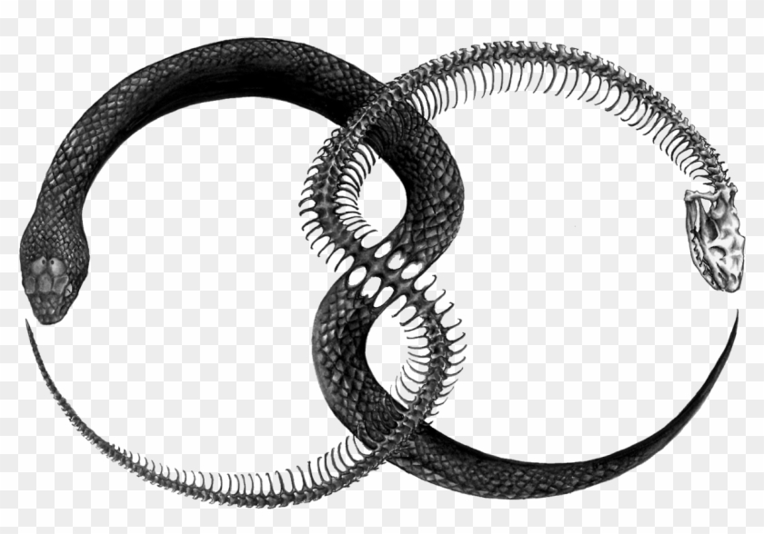 Képtalálat A Következőre - Ouroboros Tattoo #541267