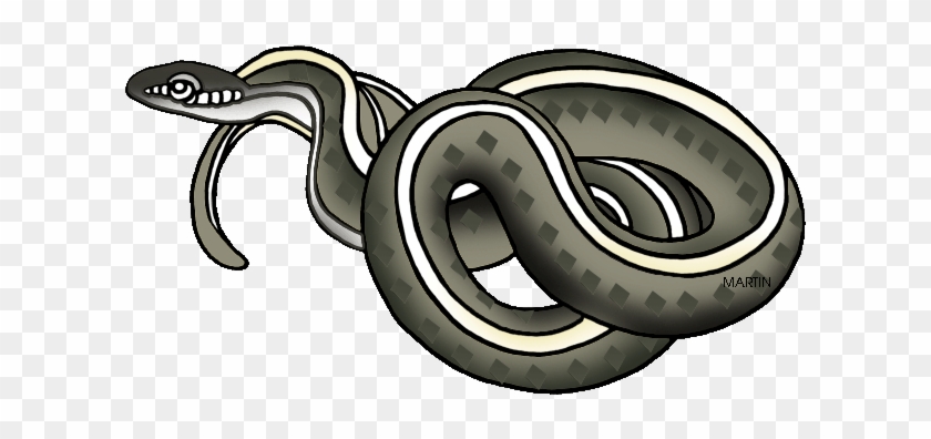 Garter Snake Clipart - Garter Snake Clipart #541398