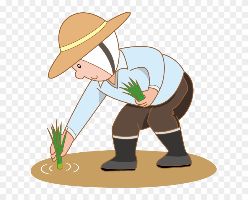 Cultivation Clip Art - Clip Art Rice Farmer #541437