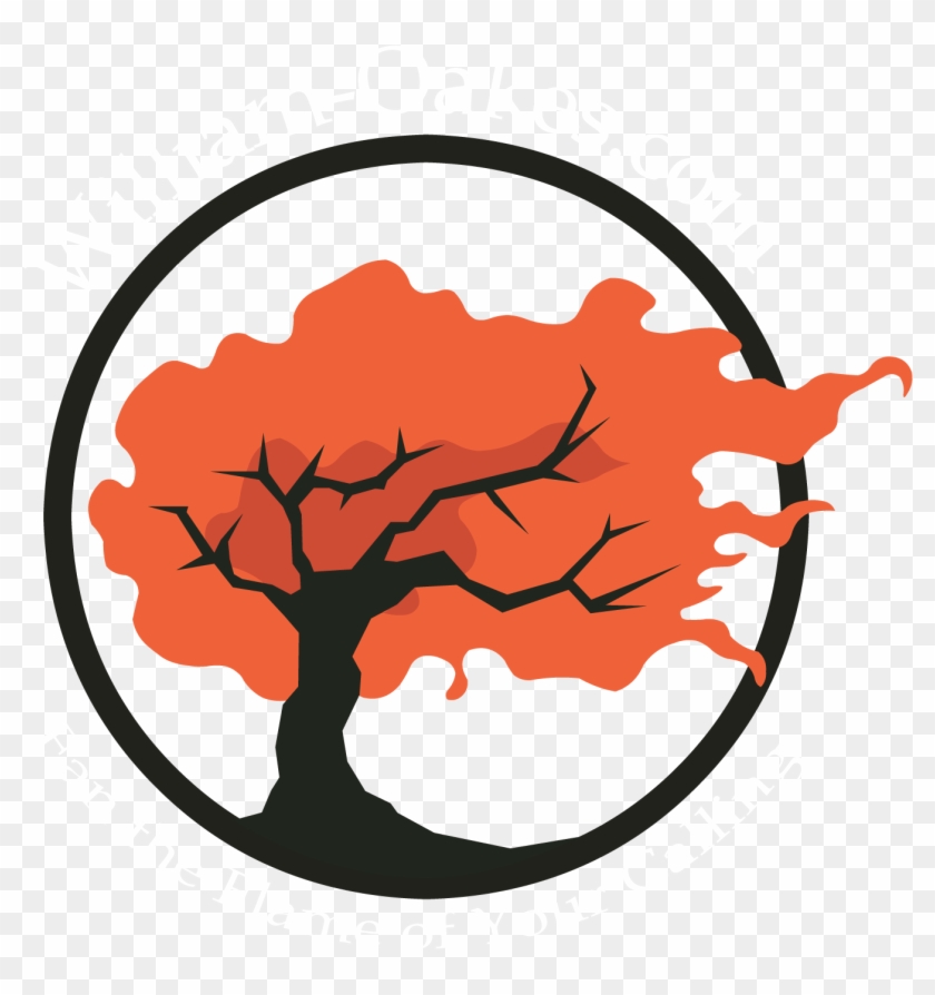 Categories - Decorative Glass Pebbles Colorful Vase Fillers For #541803