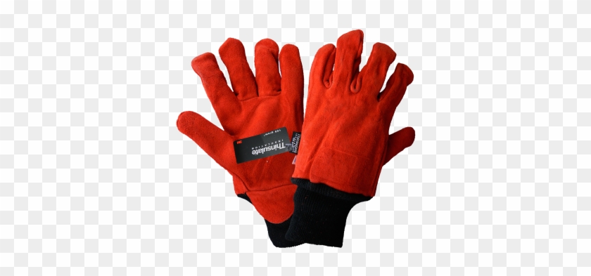 Economy Freezer Gloves - Global Glove 624 Freezer Glove With Knit Wrist Cuff, #541874