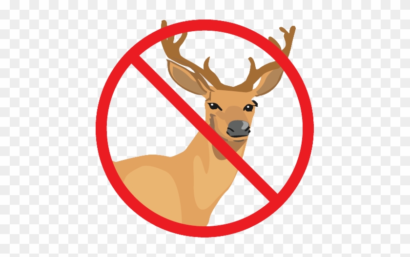 Portrait Of A Man #541996