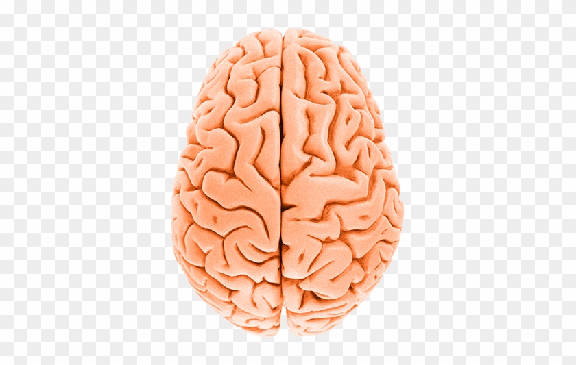 There's An Easy Way To Win - Patología Dual: Fundamentos Clínicos Y Terapéuticos #542260