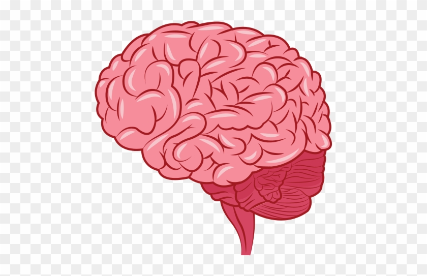 Human Brain Icon - Мозг Орган #542336