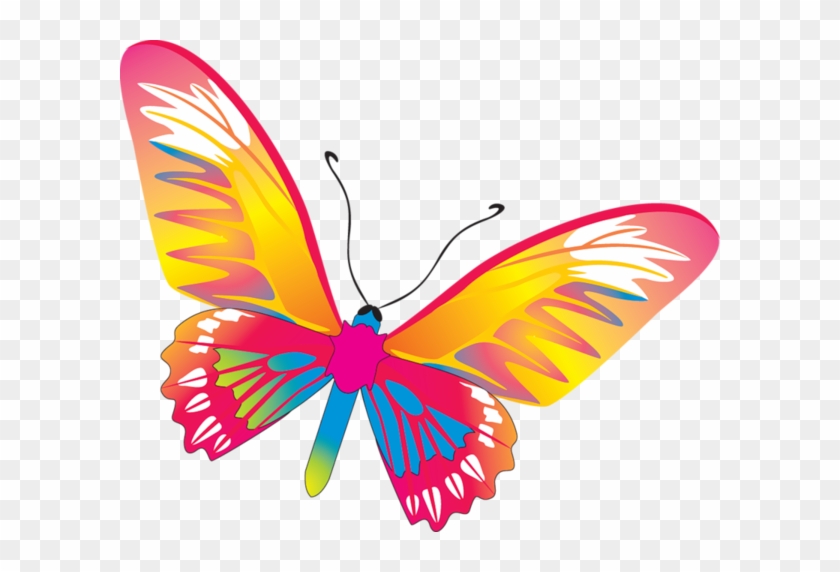 Butterfly - Butterfly Vector #542851