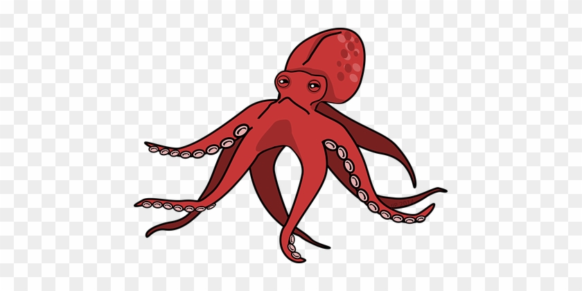 Cartoon Octopus Pink Squid Octopus Octopus - Octopus Clipart #542900