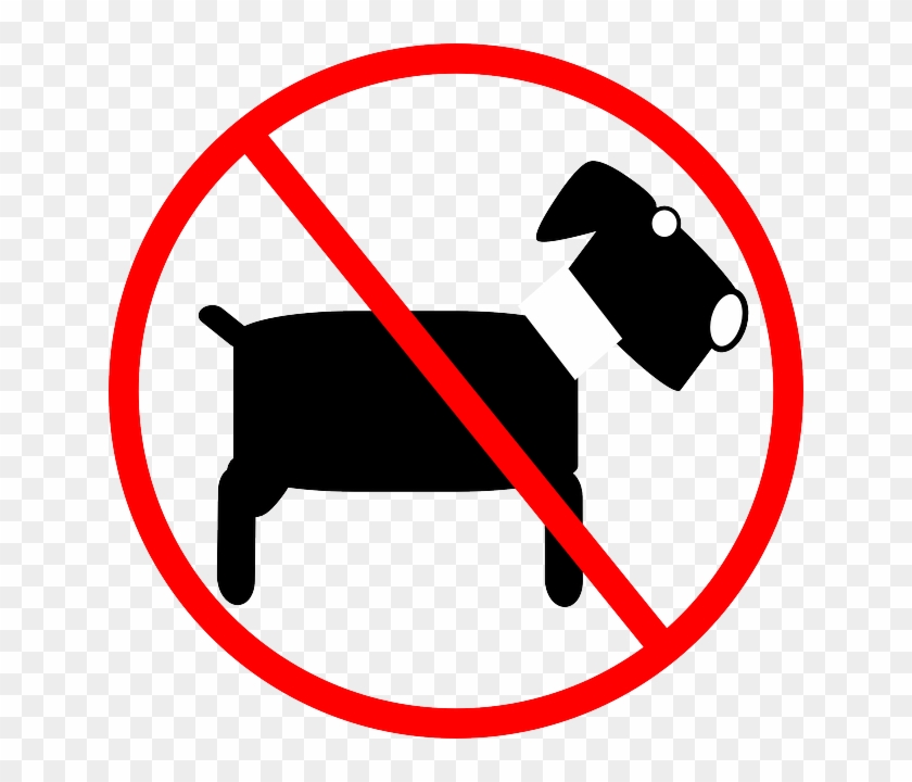 Prohibited Dogs, Banned, Animals, Pets, Warning, Prohibited - No Pet Clipart #542936