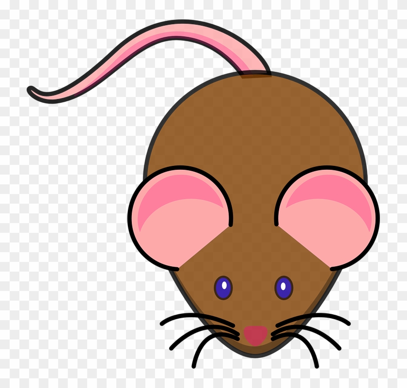 Mice Cartoon Cliparts - Animated Picture Of A Mouse #542945
