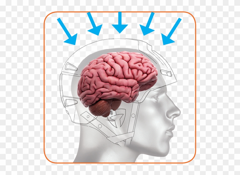 Fluid - Low - Energy - Brain #542987
