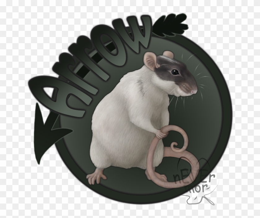 Arrow Rat By Never-mor - Rat #543002