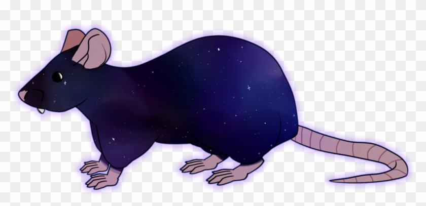 Galaxy Rat By Toodlenoodle - Drawing #543018