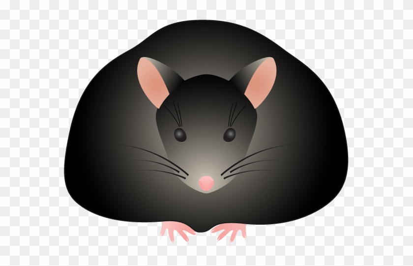 Clip Art - Fat Mouse Clip Art #543037