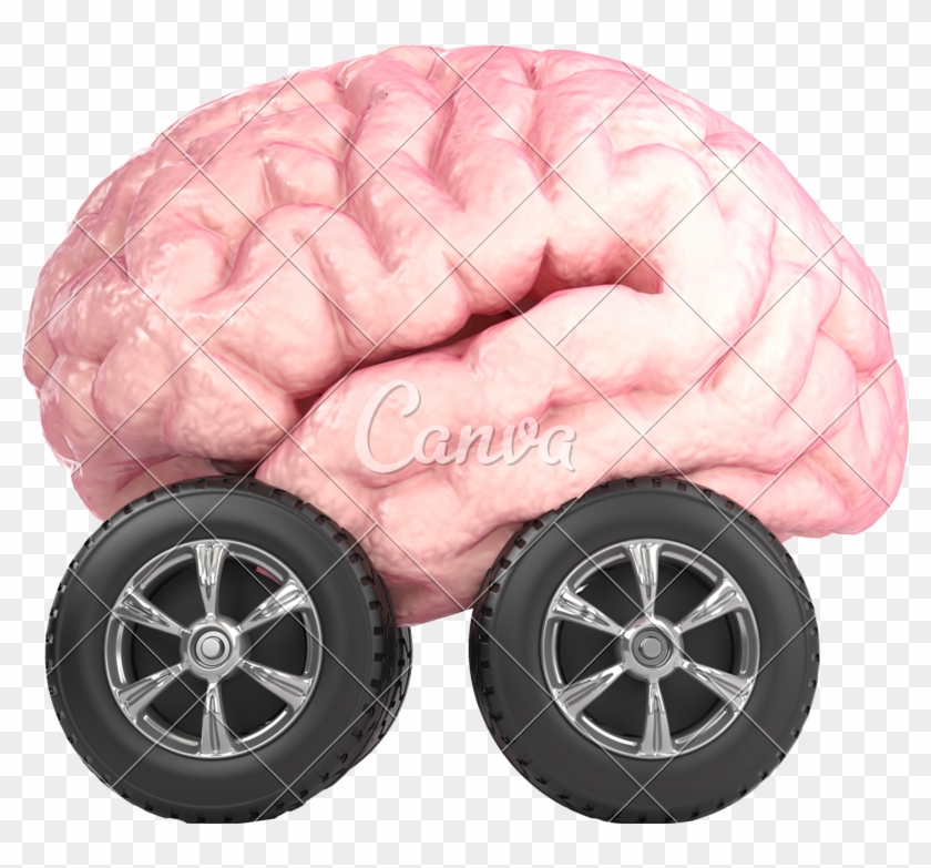 3d Brain On Wheels - Brain On Wheels #543122